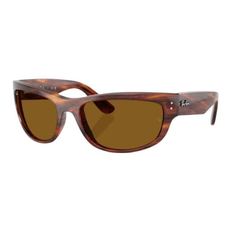 Солнцезащитные очки RayBan Propionate Фигурные Солнцезащитные Очки Унисекс Черепаховый - изображение 1