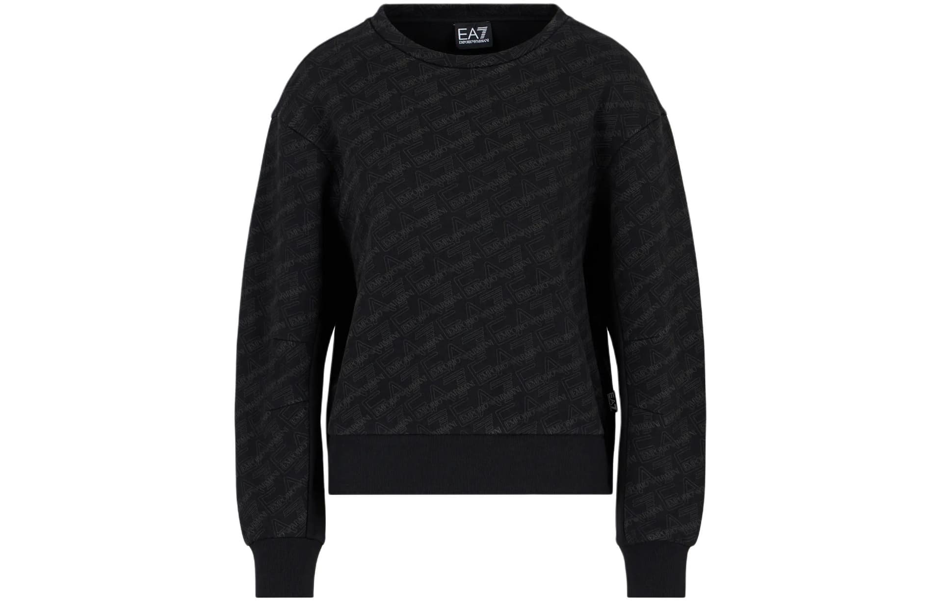 Худи EMPORIO ARMANI EA7 SS24 Logo - изображение 1