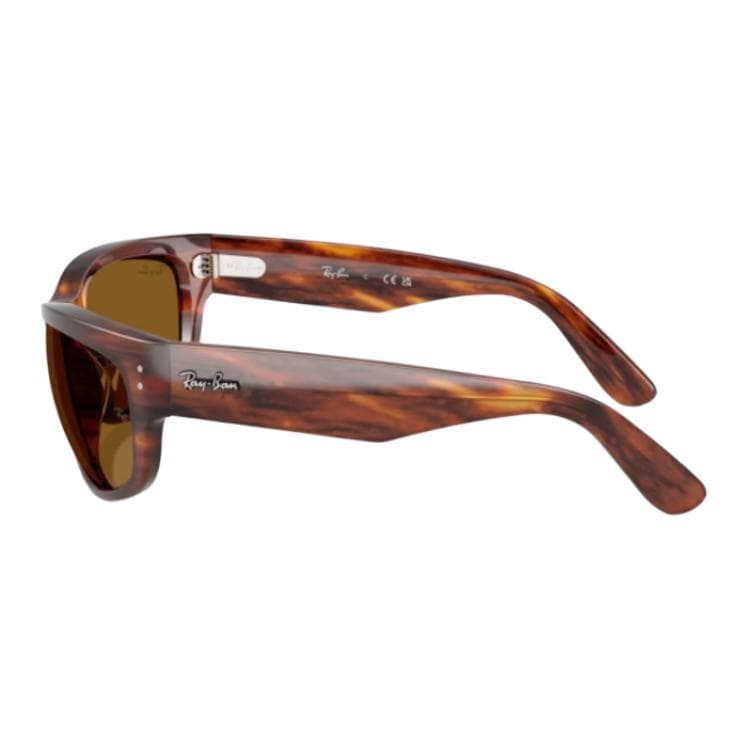 Солнцезащитные очки RayBan Propionate Фигурные Солнцезащитные Очки Унисекс Черепаховый - изображение 3