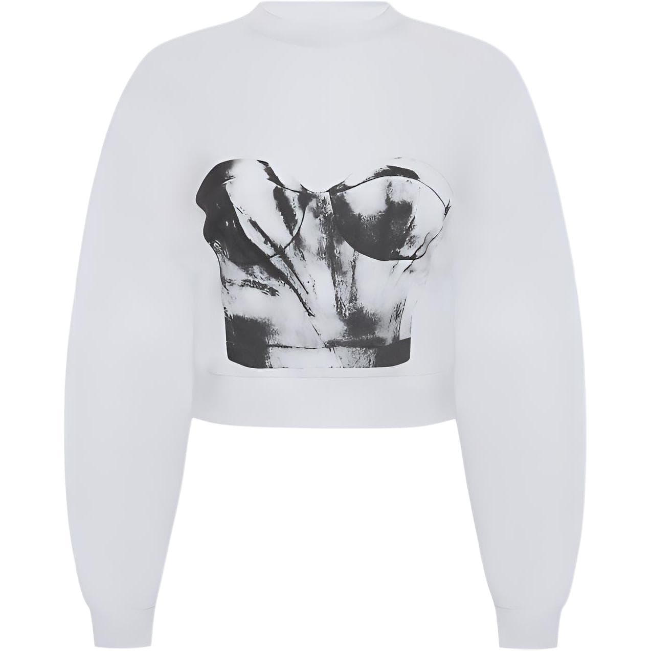 Худи Alexander McQueen FW22 Bustier - изображение 1