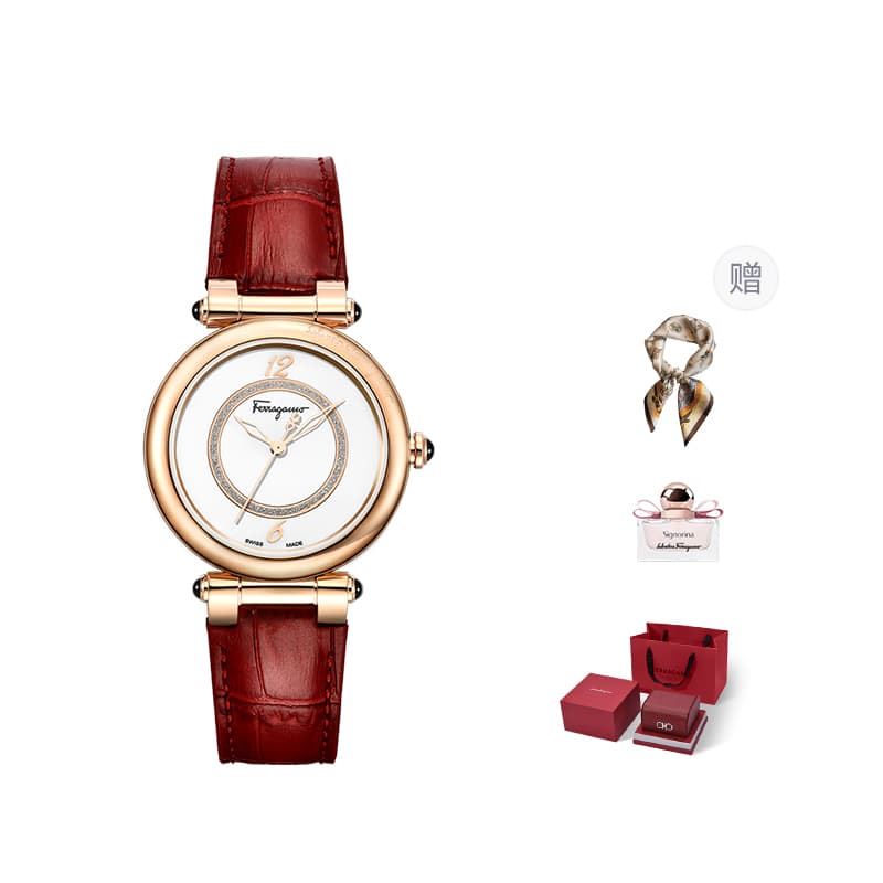 Механические часы FERRAGAMO SFUQ00122 - изображение 1