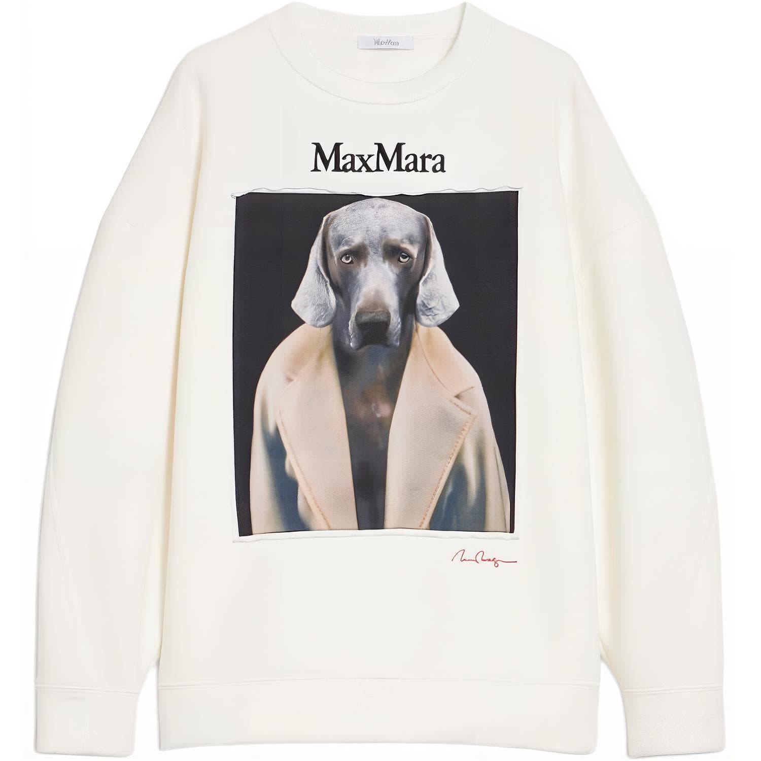 Кофта MaxMara Bacco Cotton Sweatshirt With Wegman Print - изображение 1