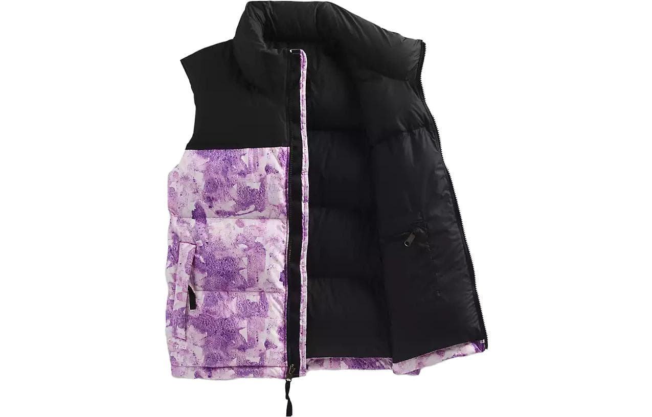 THE NORTH FACE 1996 Logo - изображение 1