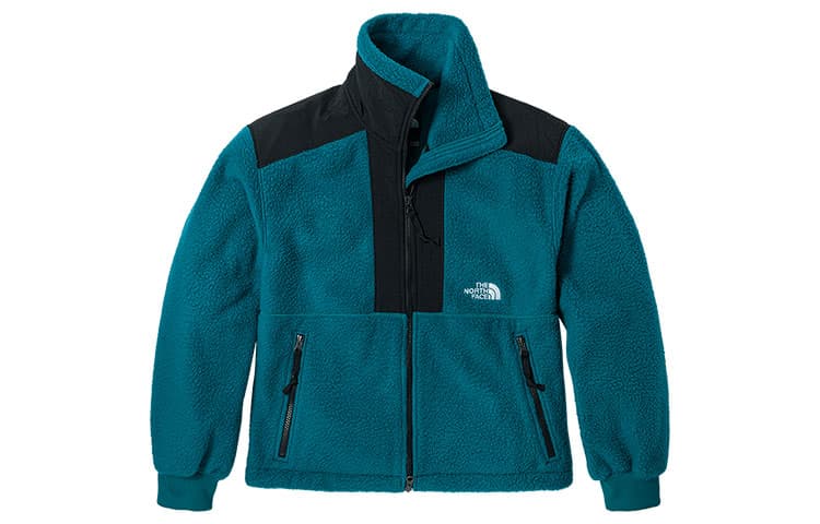 THE NORTH FACE ICON - изображение 1