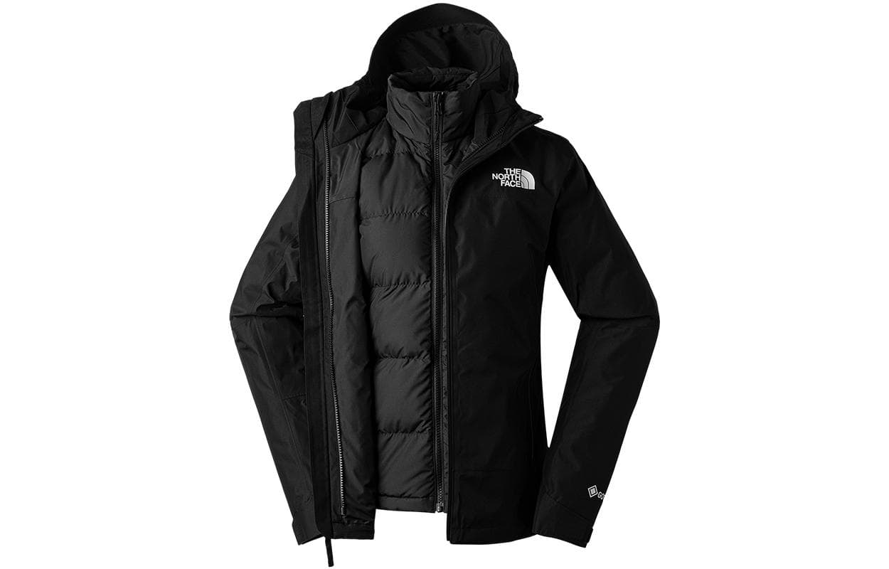 THE NORTH FACE Logo - изображение 3