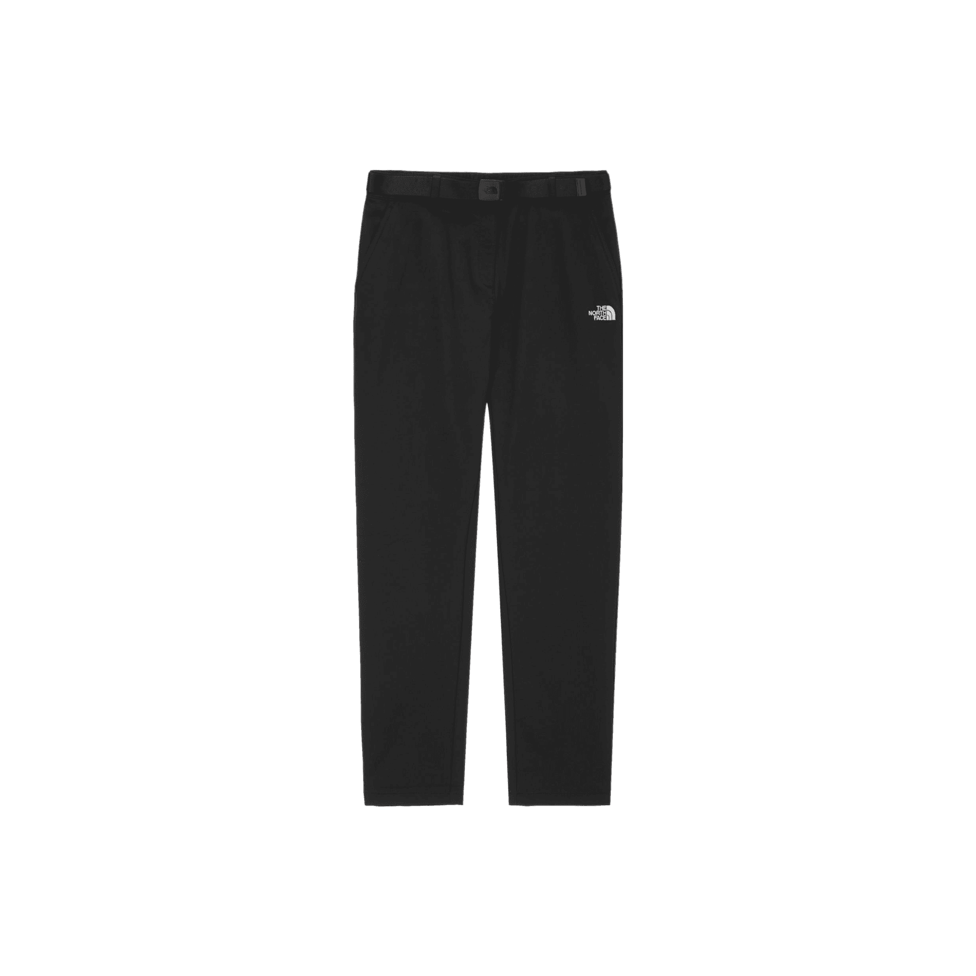 Штаны THE NORTH FACE Logo - изображение 1