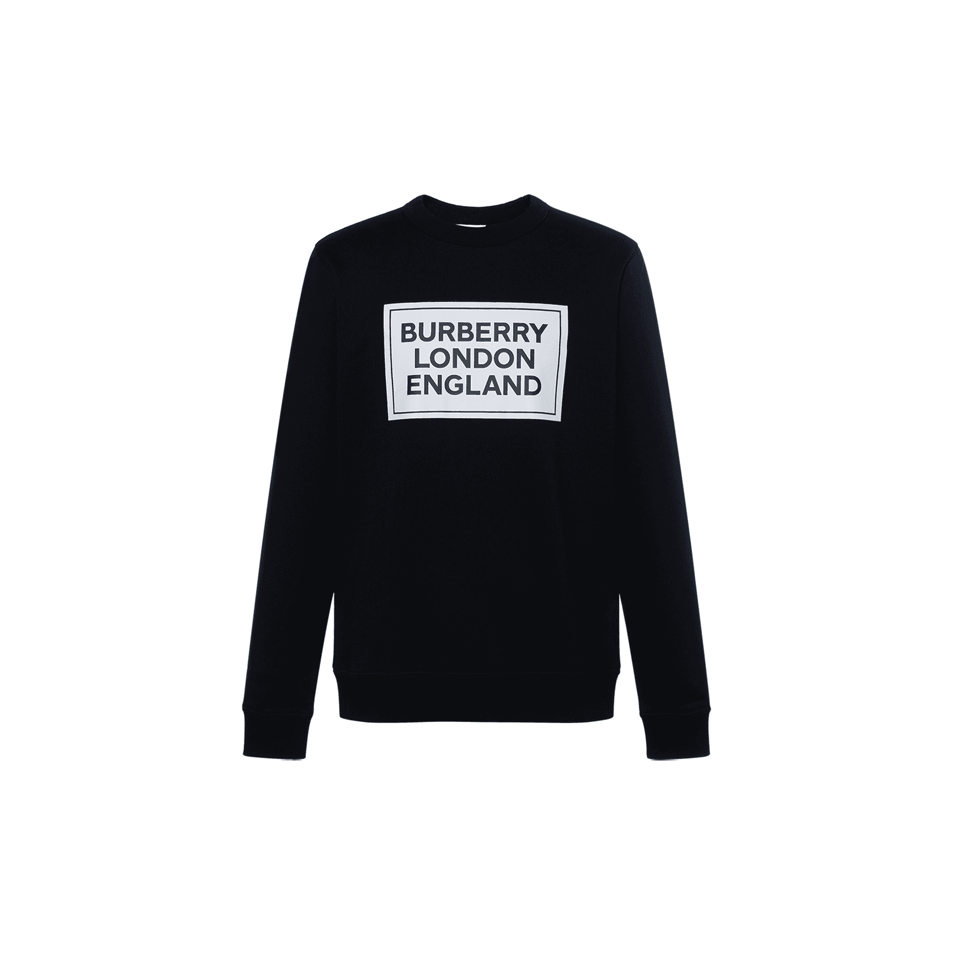 Худи Burberry SS24 Logo - изображение 1