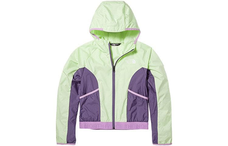 THE NORTH FACE SS23 Logo - изображение 1