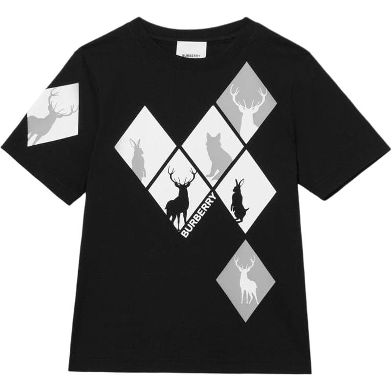 Футболка Burberry FW22 T - изображение 1