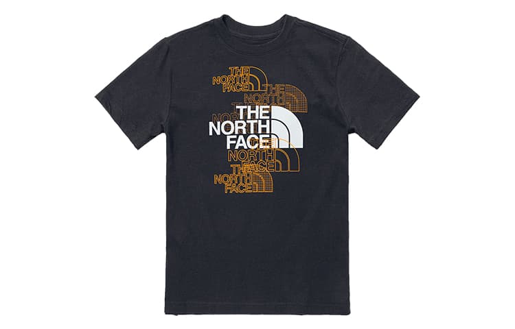 Футболка THE NORTH FACE LogoT - изображение 1