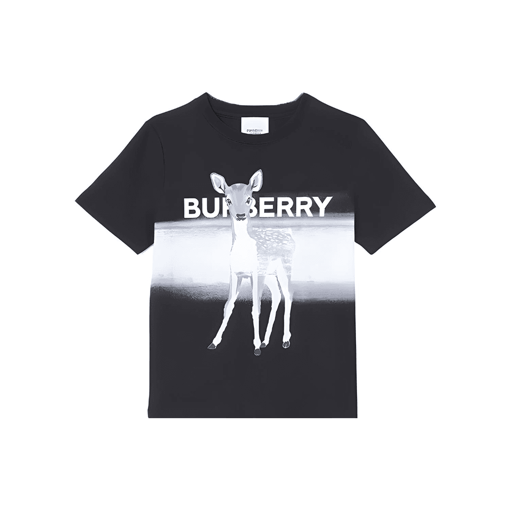 Футболка Burberry T - изображение 1