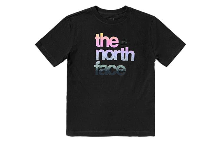Футболка THE NORTH FACE T - изображение 1