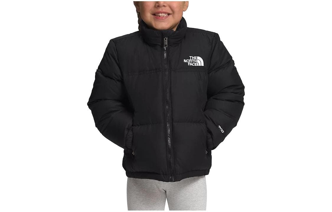 THE NORTH FACE 1996 Logo - изображение 1