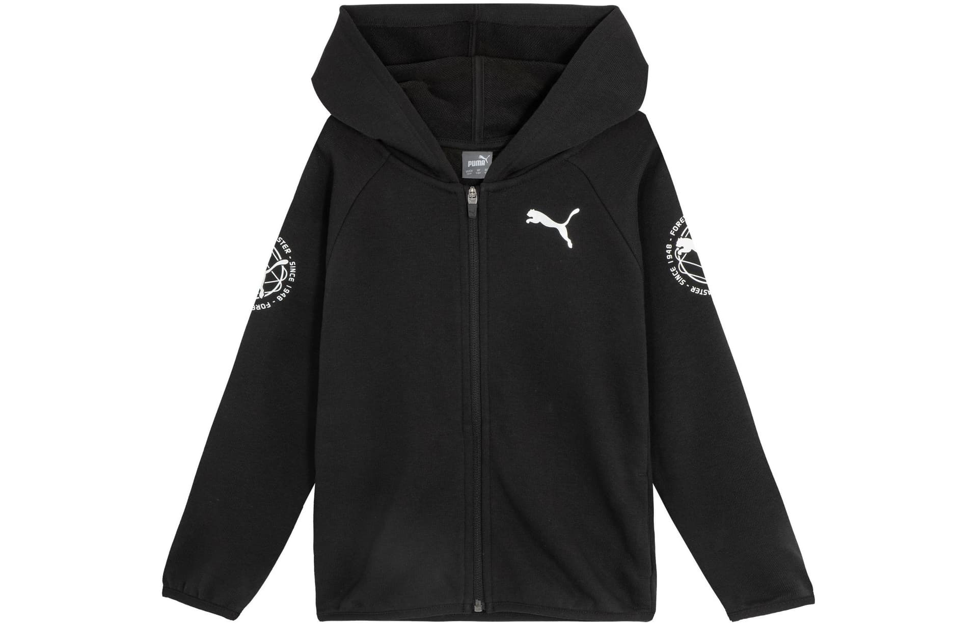 PUMA ACTIVE SPORTS HOODIE Logo - изображение 1