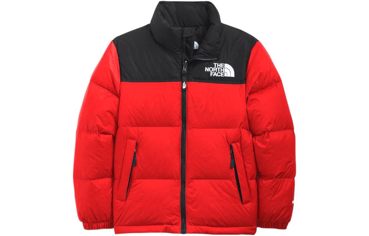 THE NORTH FACE 1996 Retro Nuptse Jacket Logo - изображение 1