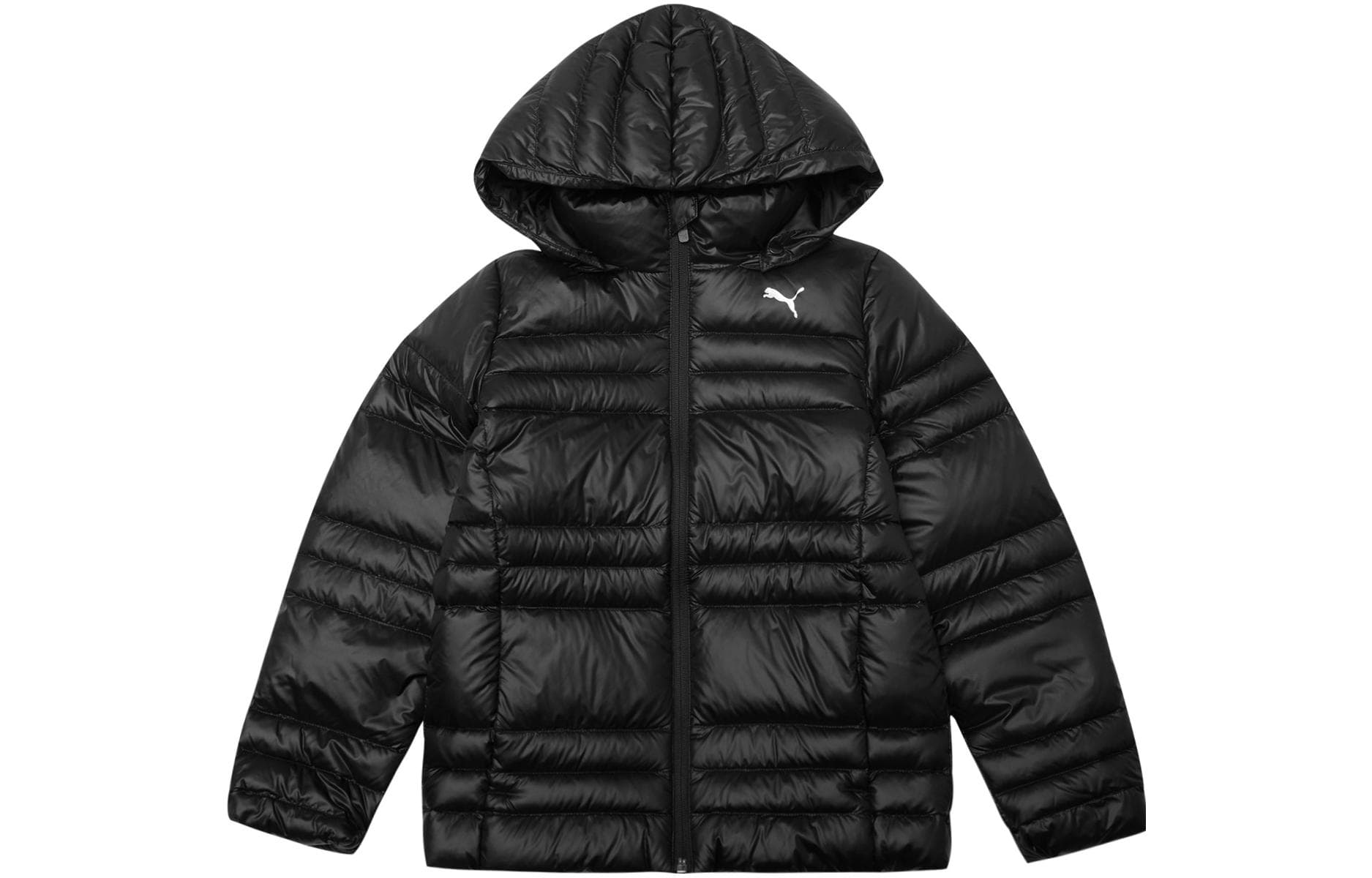 PUMA - изображение 1