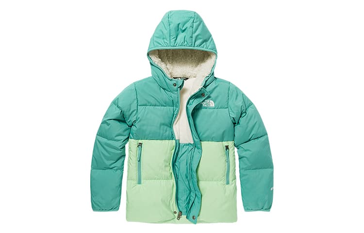THE NORTH FACE Logo - изображение 1