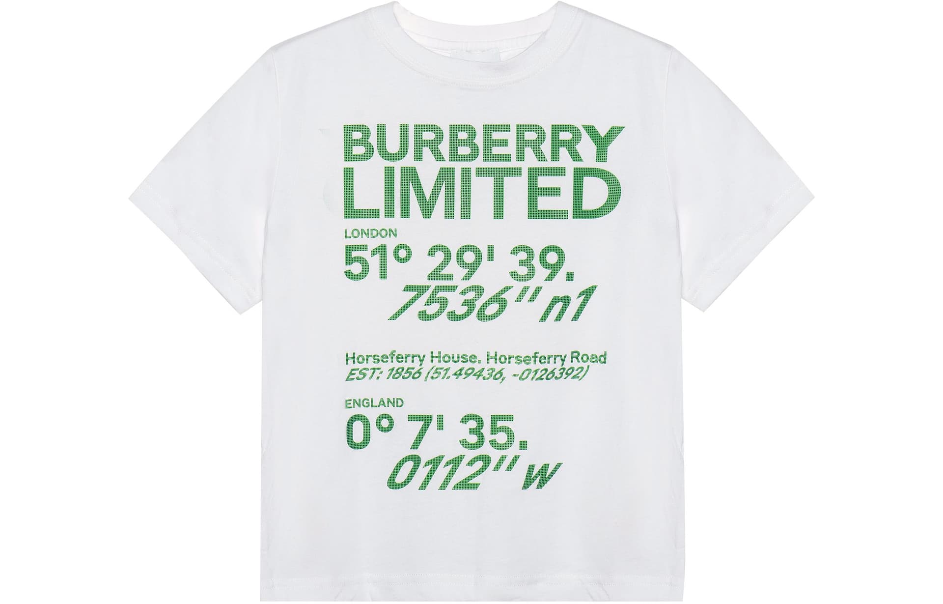 Футболка Burberry T - изображение 1