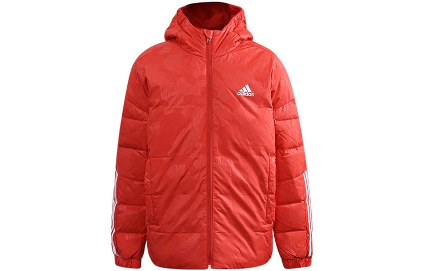 adidas Logo - изображение 1