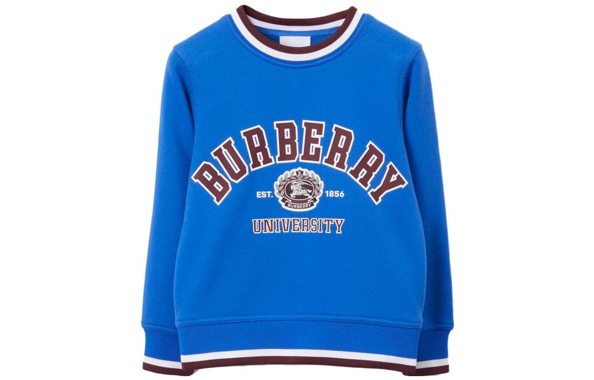 Burberry Синий Детская Толстовка - изображение 1
