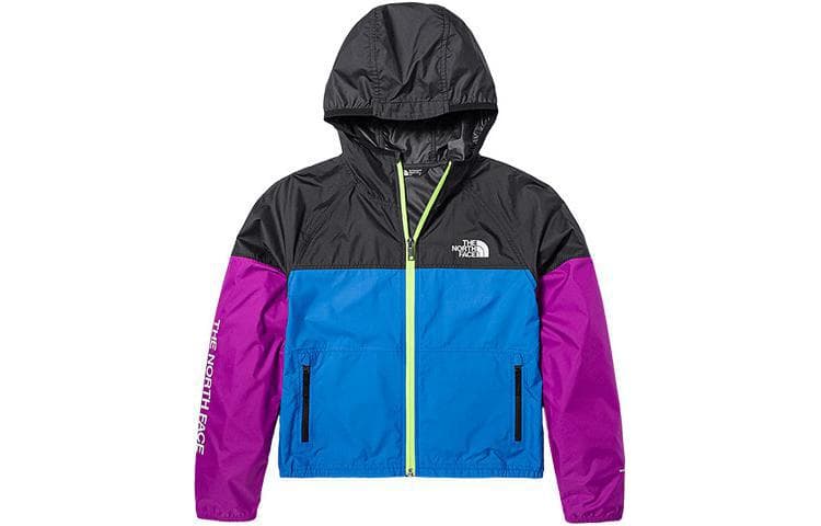 THE NORTH FACE SS23 Logo - изображение 1
