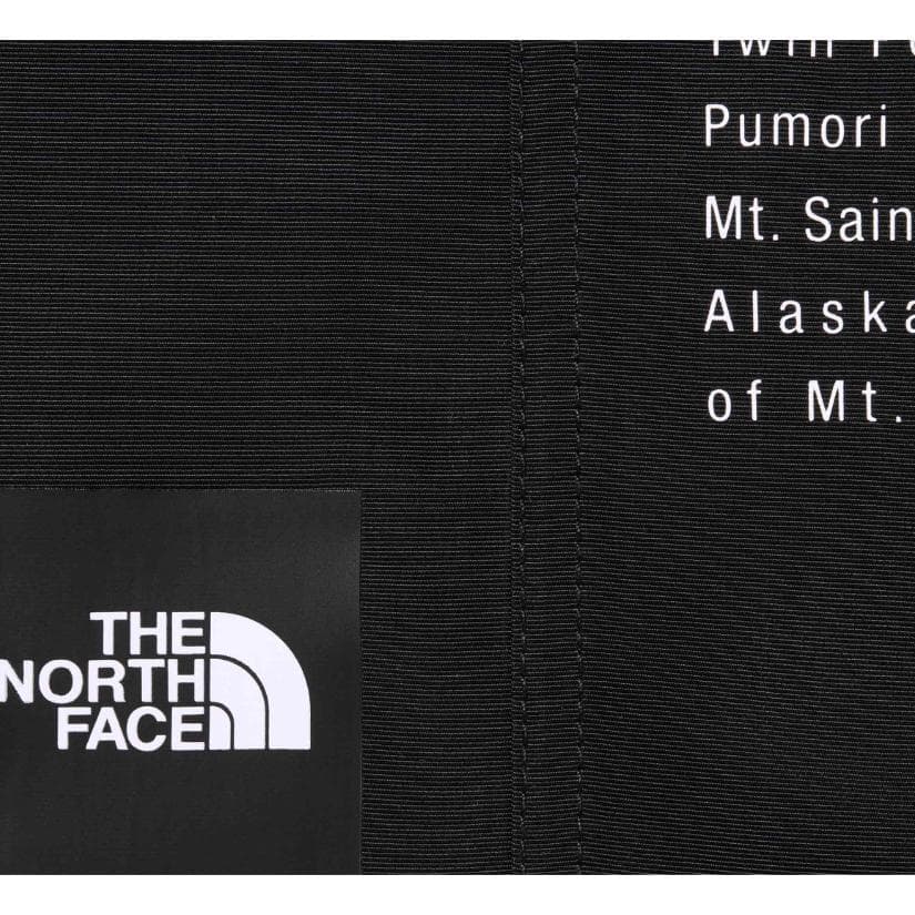 Шорты Supreme x The North Face Nylon Short - изображение 3