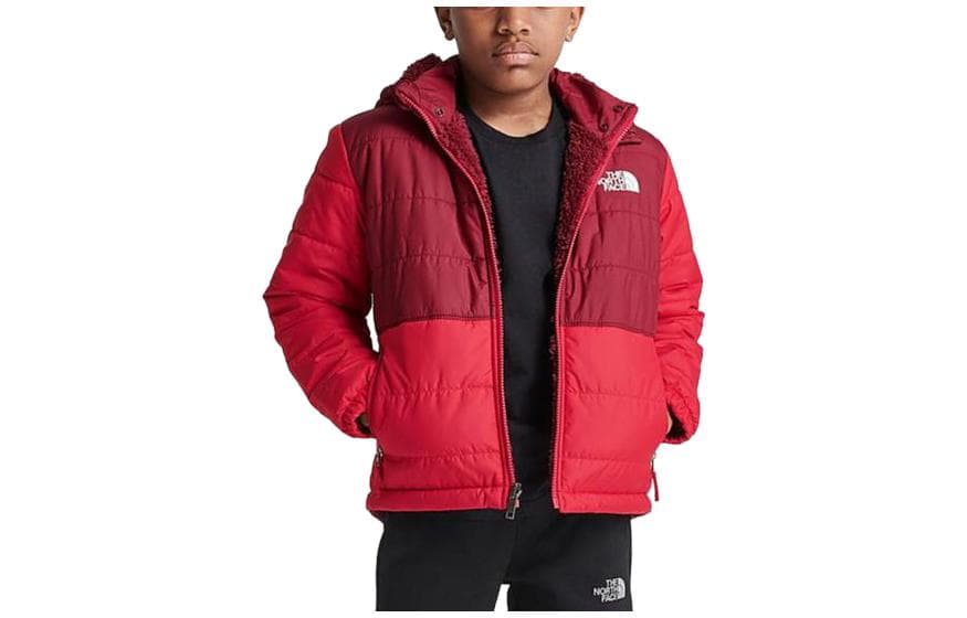 THE NORTH FACE Logo - изображение 1
