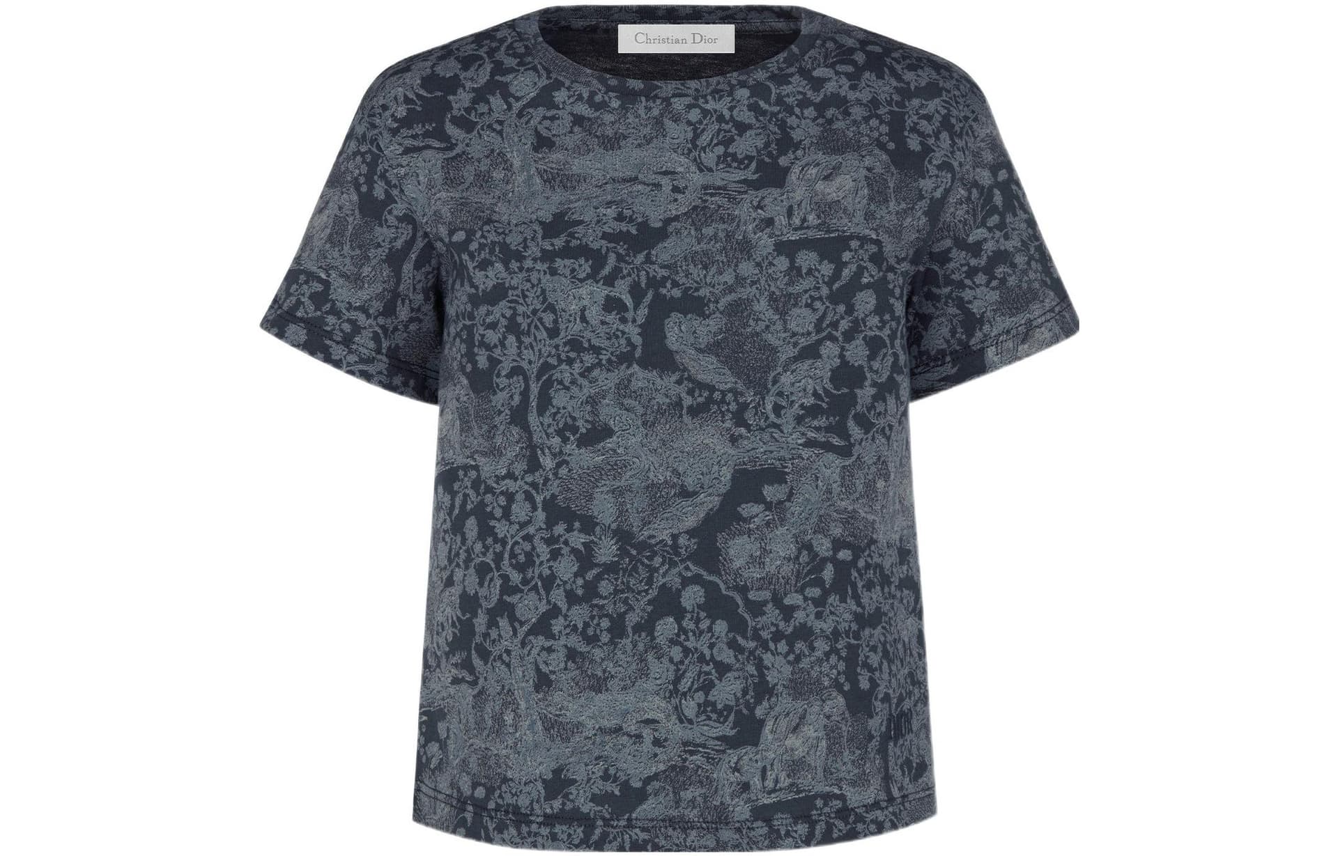 Футболка DIOR SS22 T - изображение 1