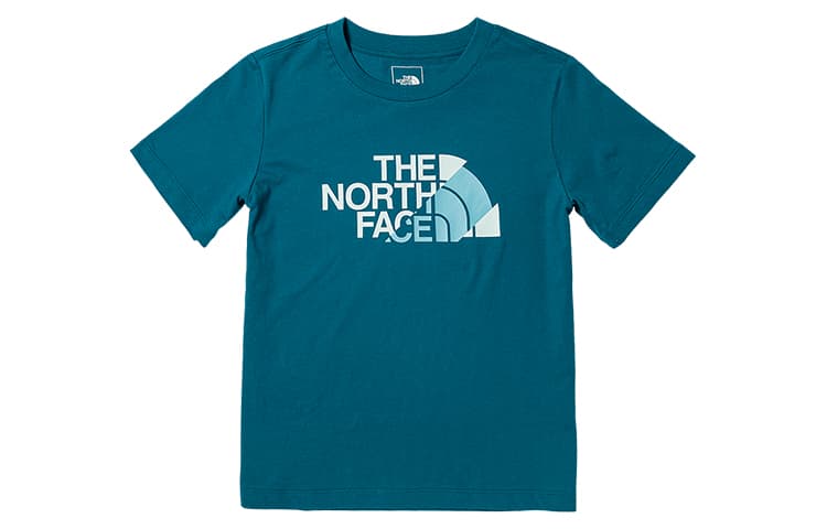 Футболка THE NORTH FACE SS23 LogoT - изображение 1