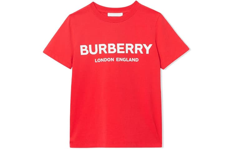 Футболка Burberry T - изображение 1