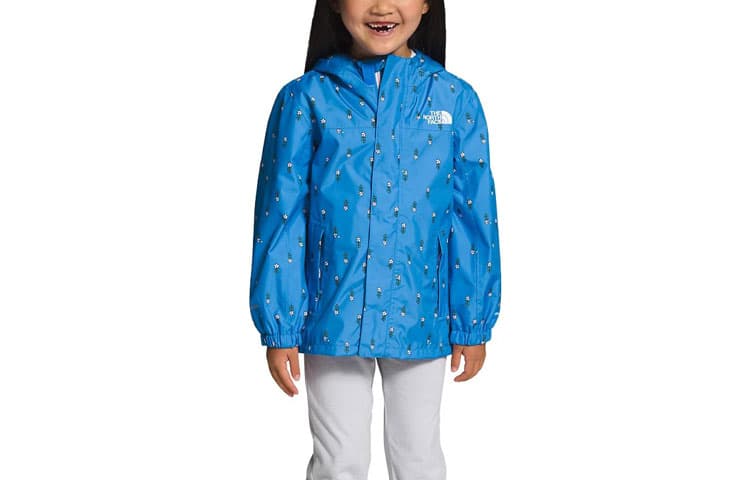 THE NORTH FACE Logo - изображение 2