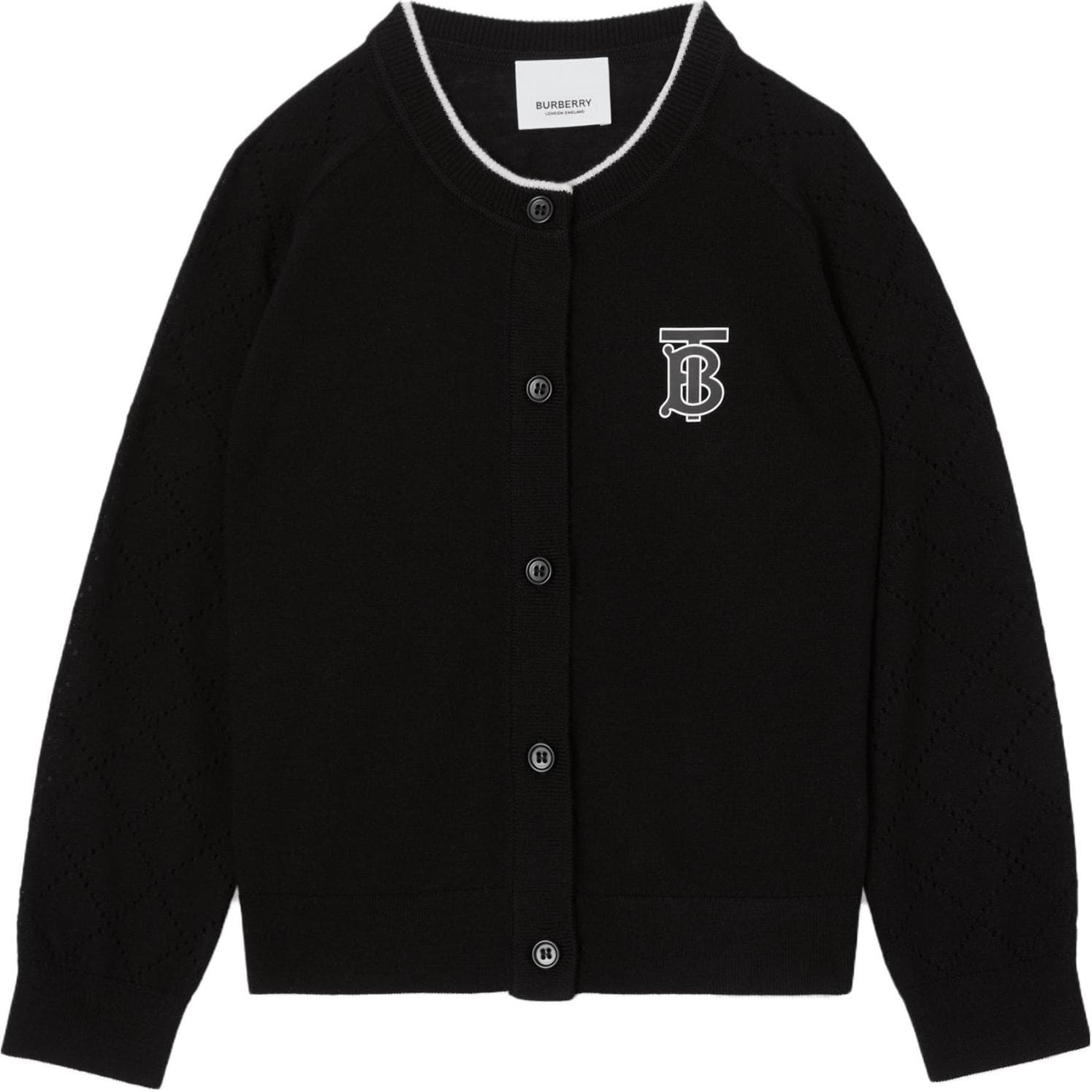 Burberry SS23 Logo - изображение 1