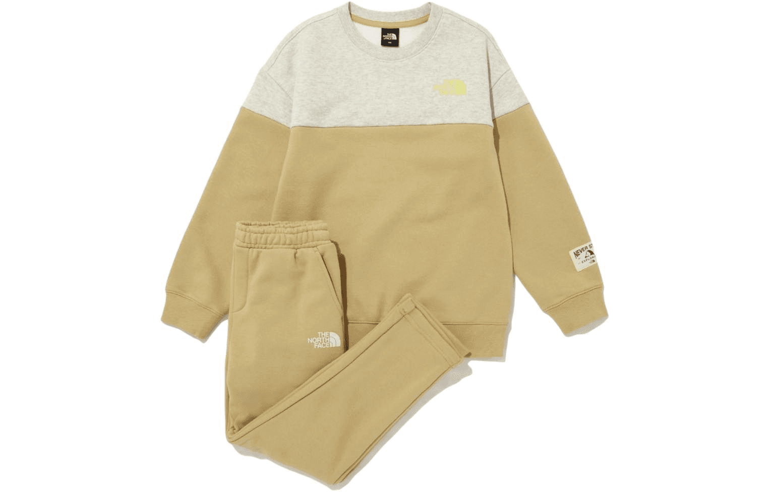 THE NORTH FACE Logo - изображение 1