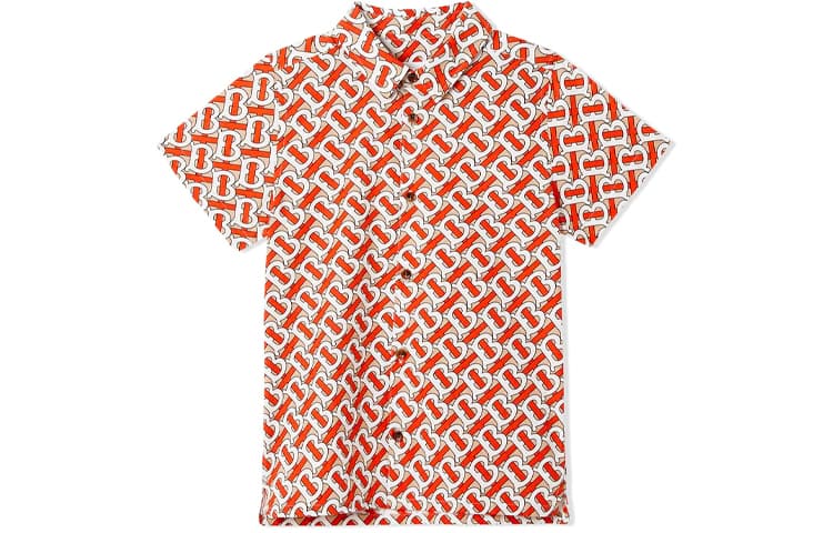 Burberry Logo - изображение 1