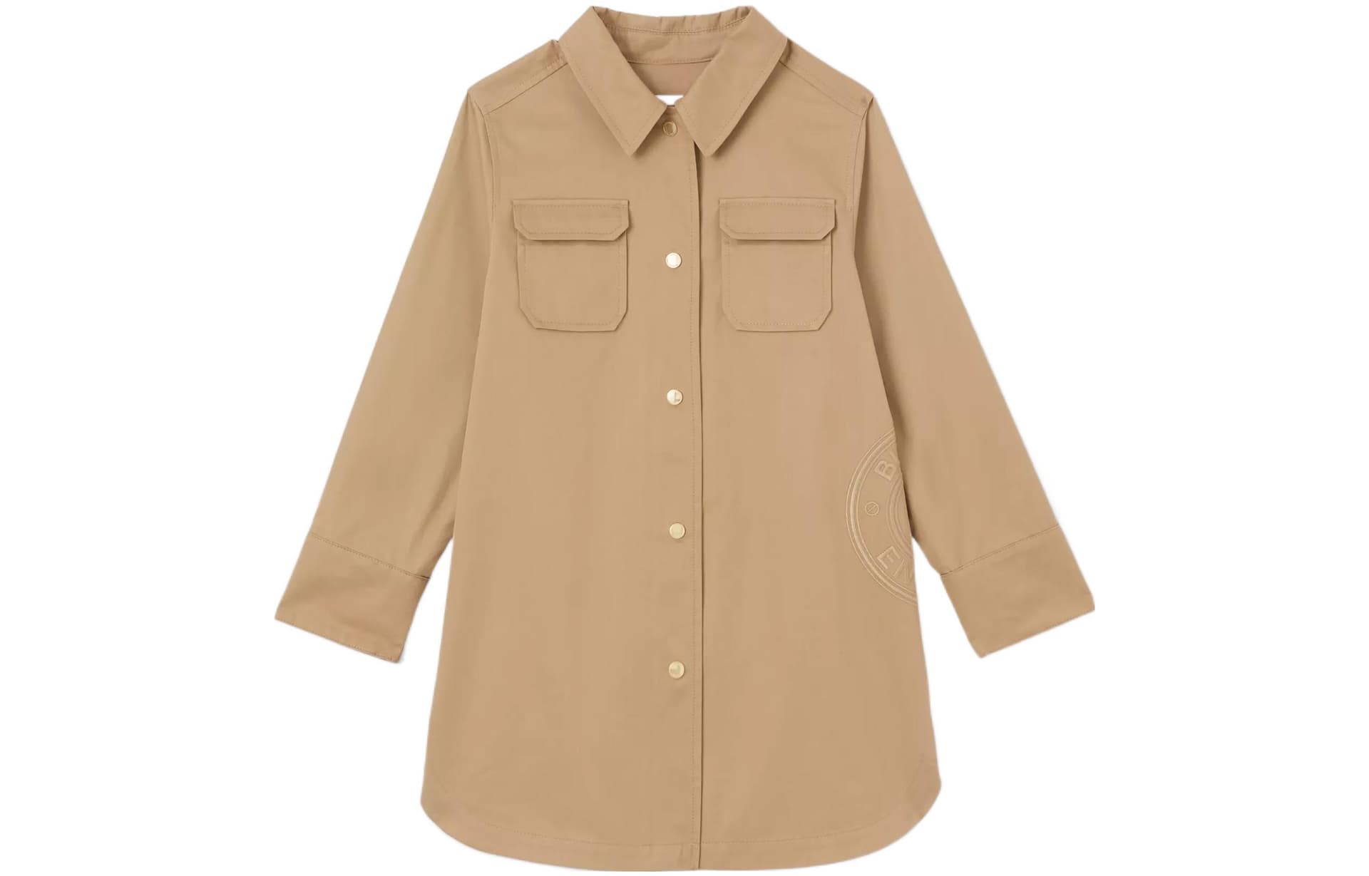 Burberry Logo - изображение 1