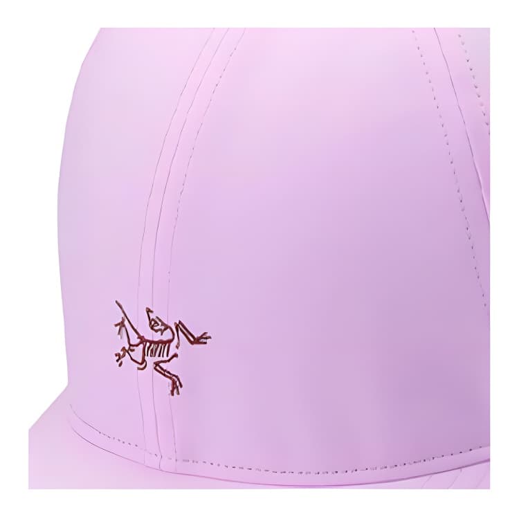 Кепка Arcteryx Logo - изображение 3