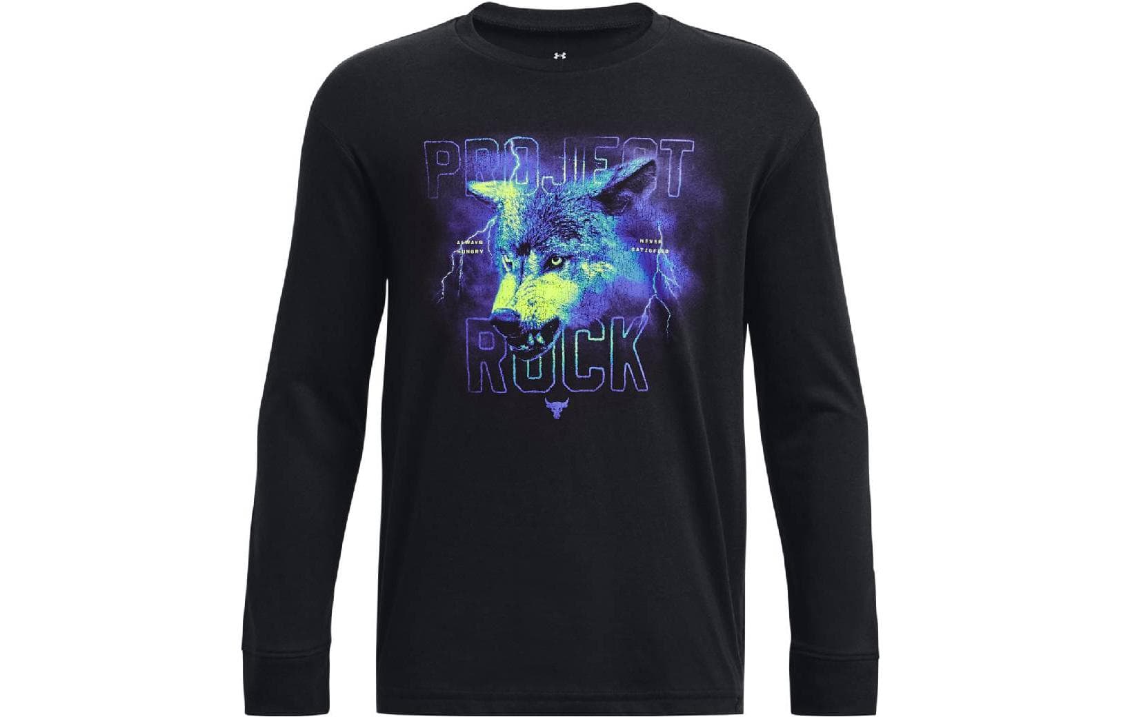 Футболка Under Armour T - изображение 1
