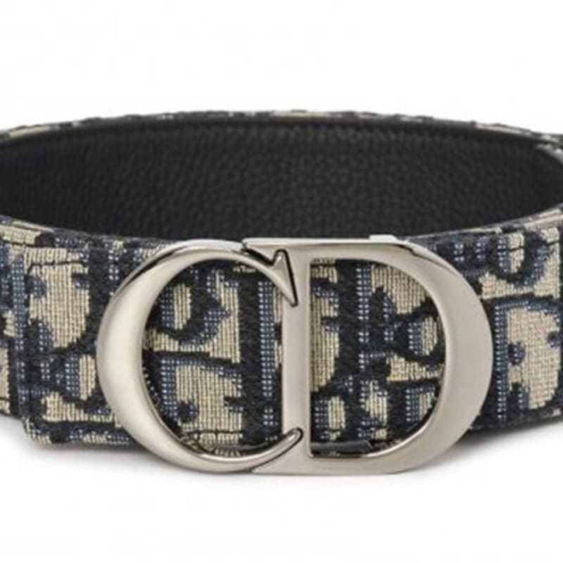 Ремень DIOR Letter Double-Sided Smooth Buckle Belt - изображение 5