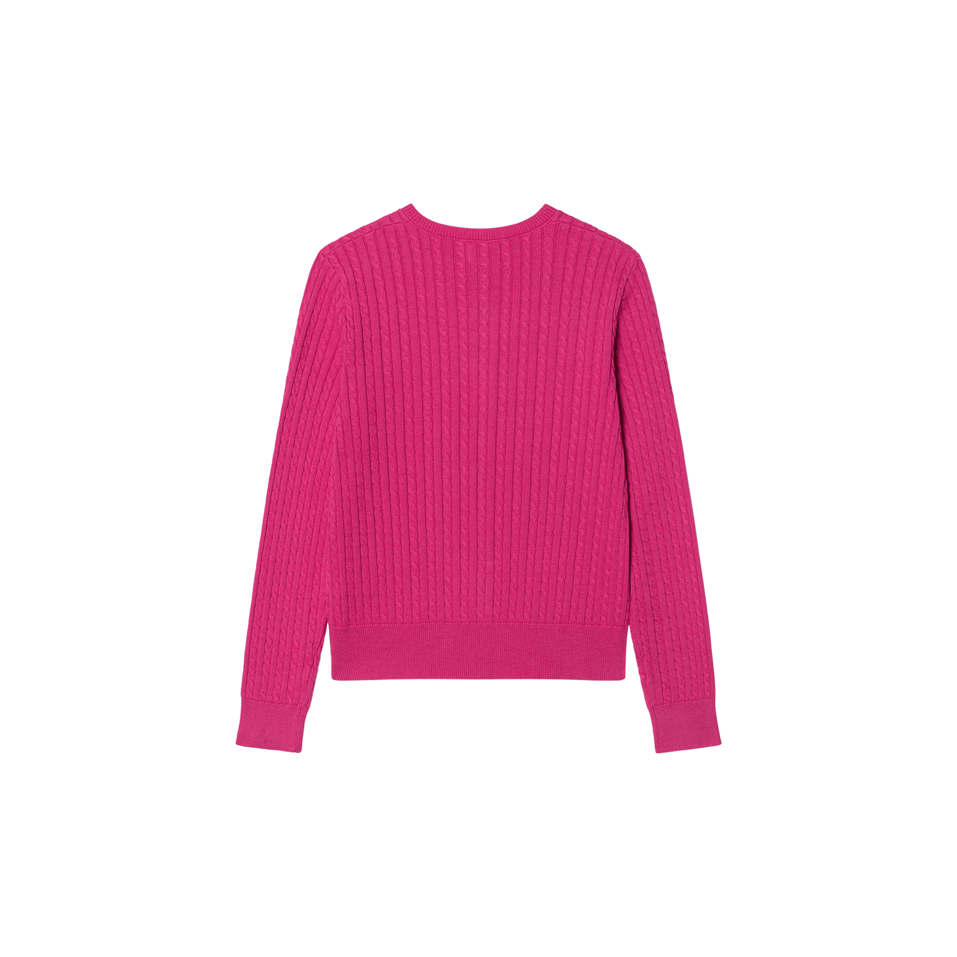 Polo Ralph Lauren FW23 Logo - изображение 2