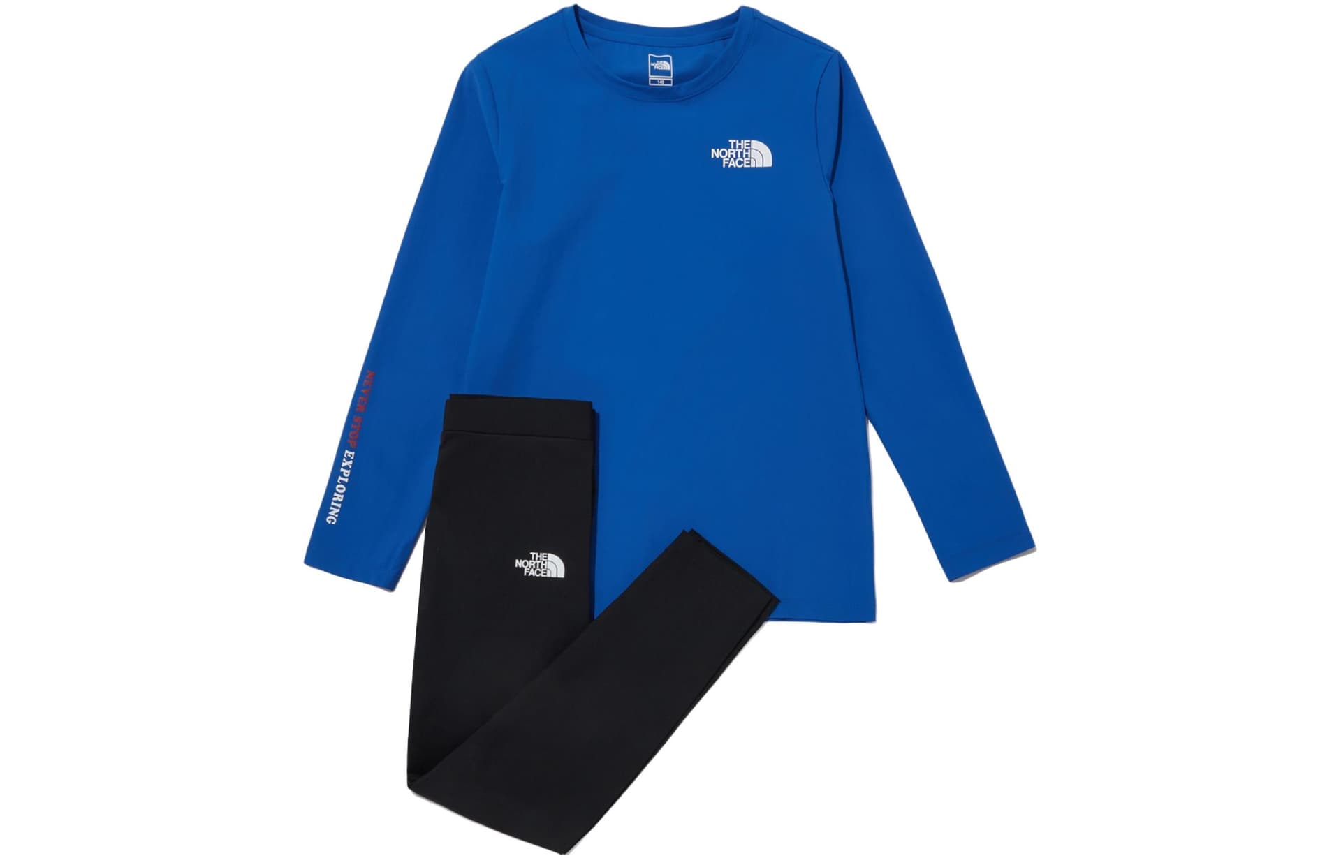 THE NORTH FACE LogoT - изображение 1