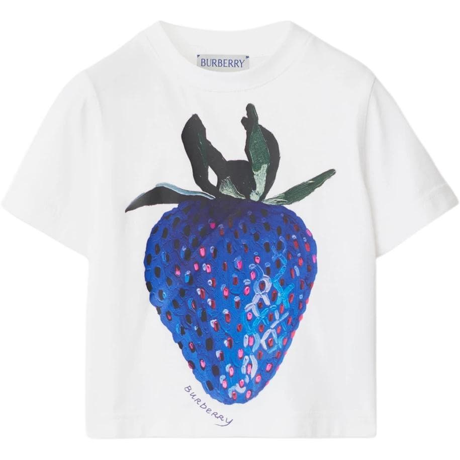 Футболка Burberry T - изображение 1