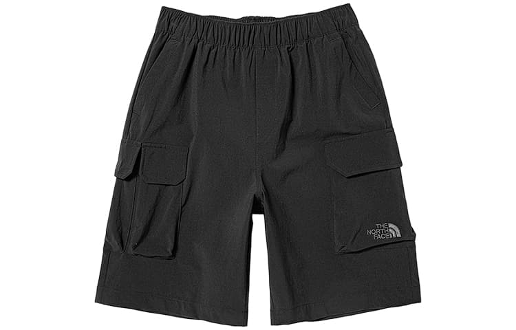 THE NORTH FACE Logo - изображение 1