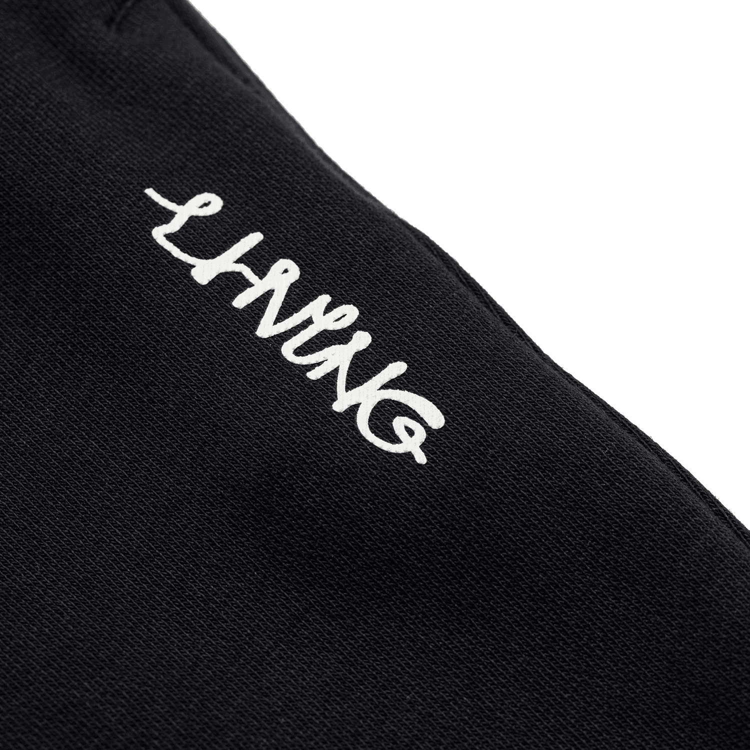 Logo - изображение 3