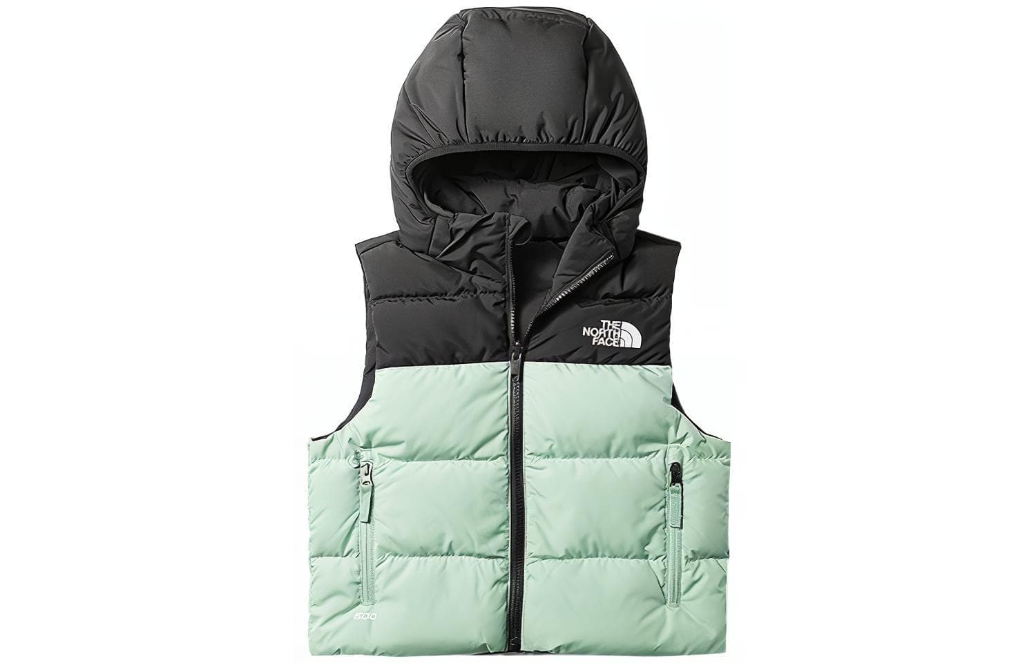 THE NORTH FACE - изображение 1