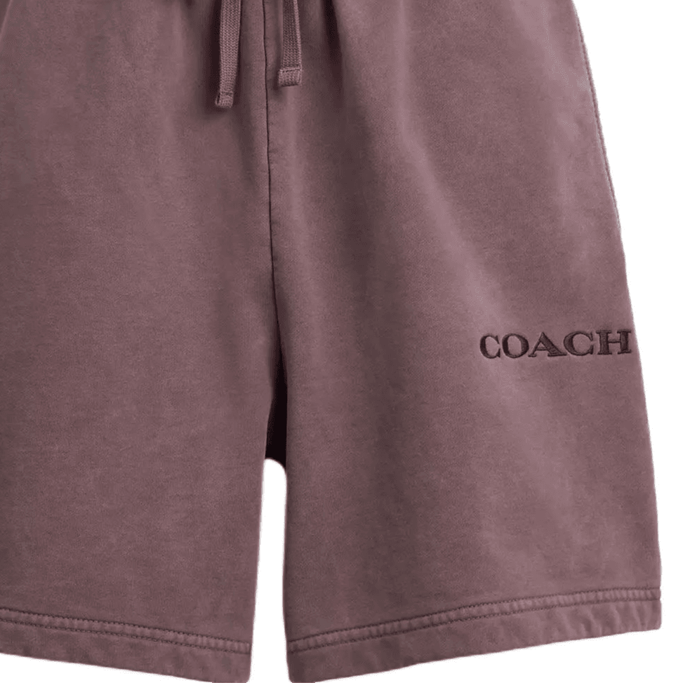 Шорты Coach SS25 Повседневные шорты Мужской Фиолетовый - изображение 2