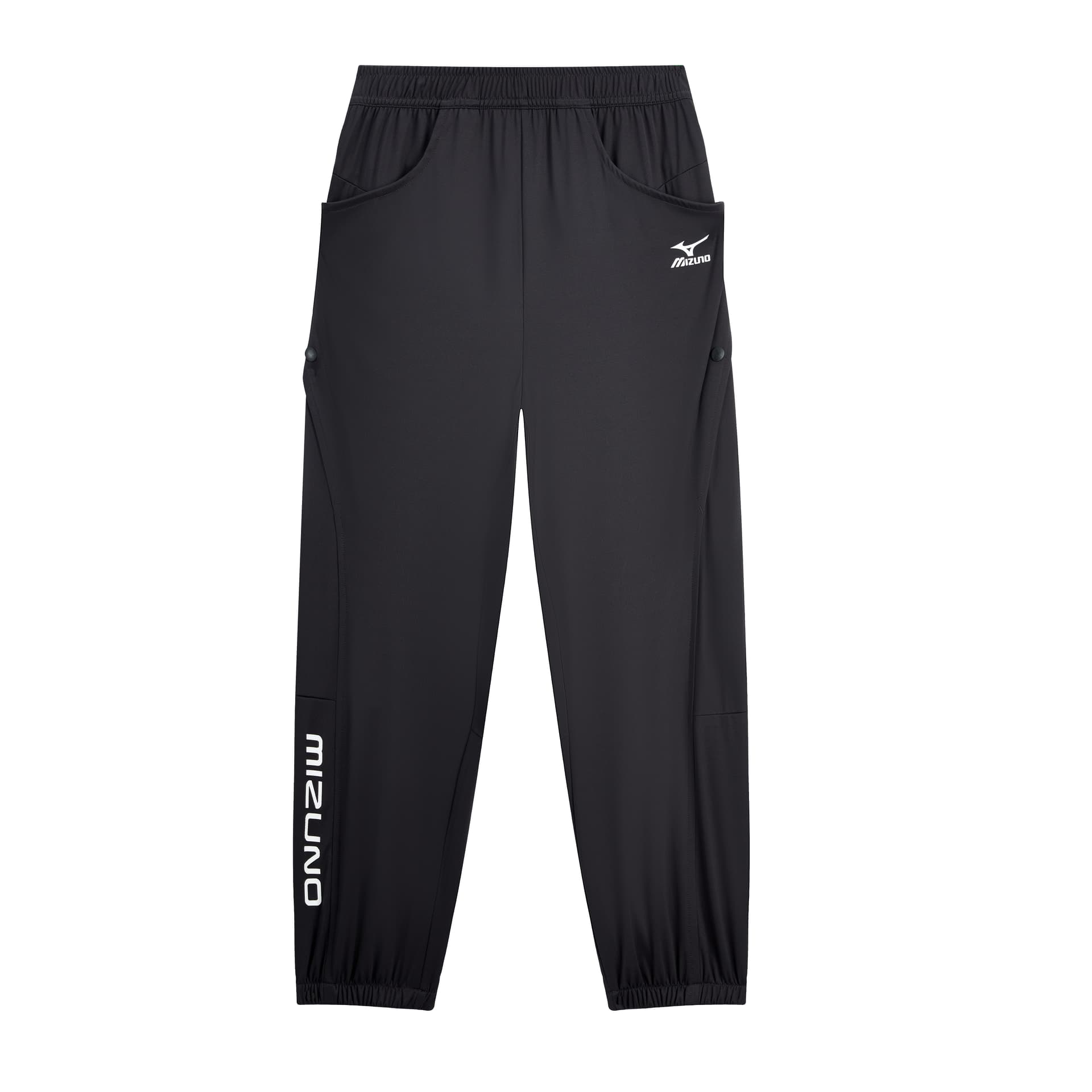 Mizuno Logo - изображение 1