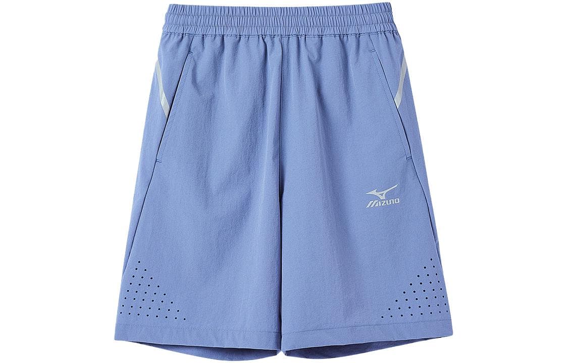 Mizuno Logo - изображение 1