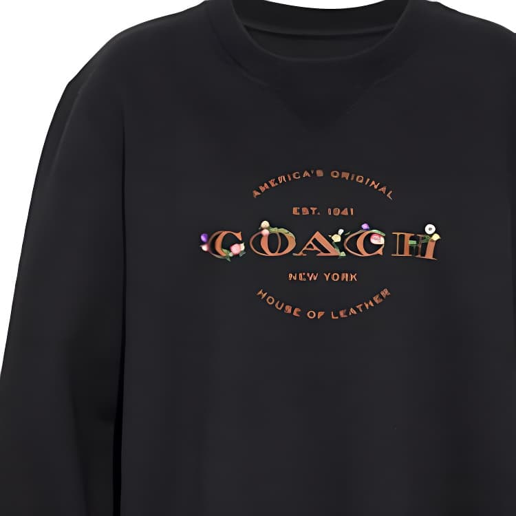 Худи COACH - изображение 5