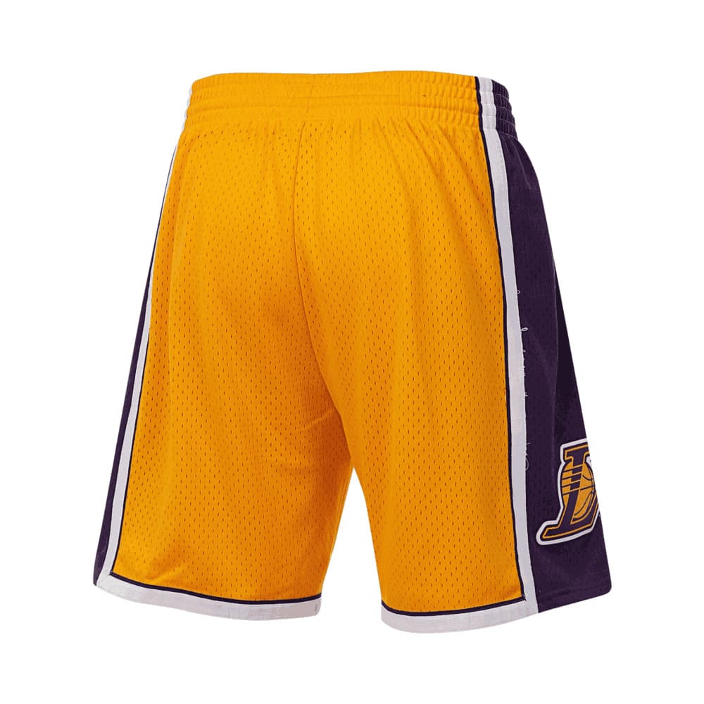 Баскетбольные шорты Mitchell Ness SW 09-10 - изображение 2