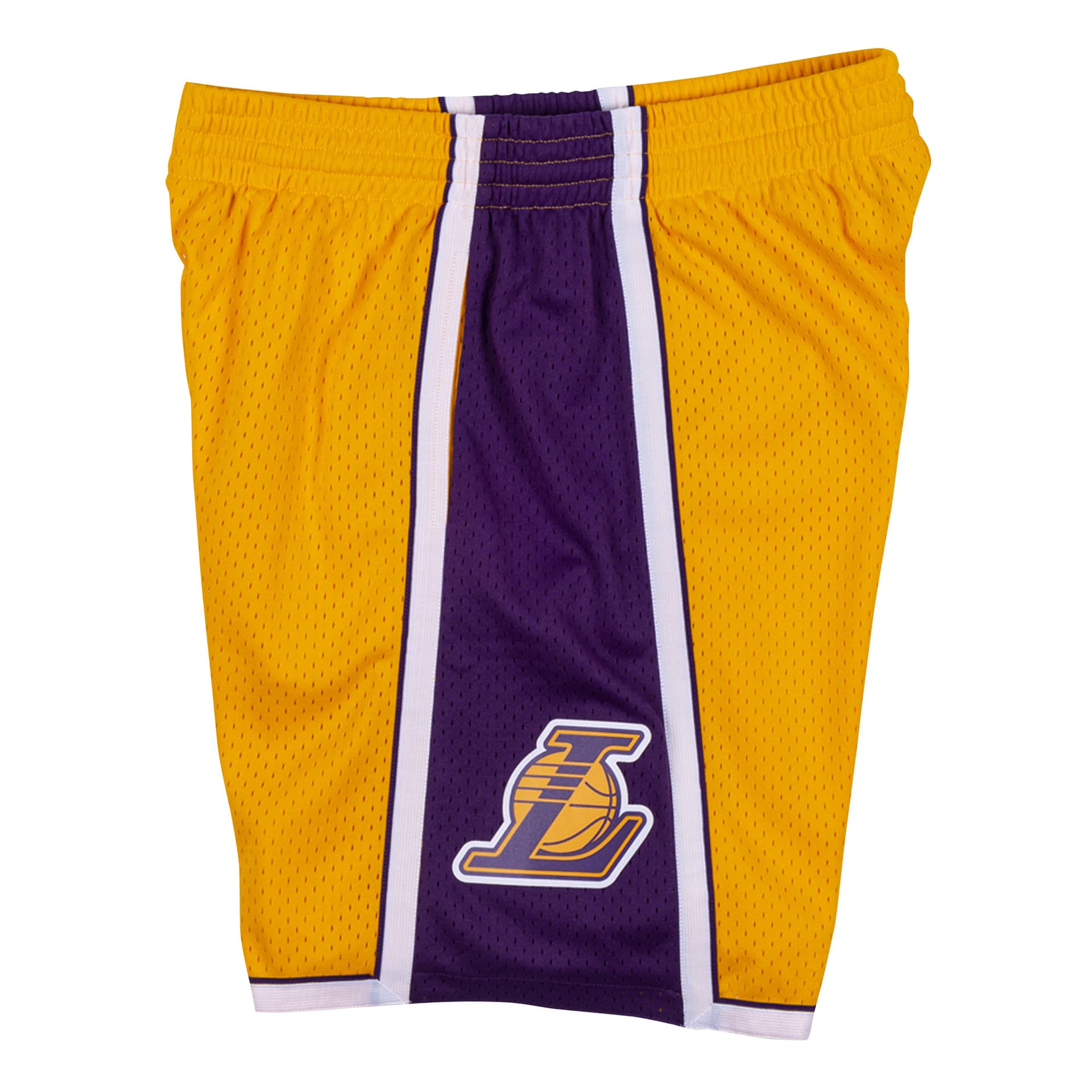 Баскетбольные шорты Mitchell Ness SW 09-10 - изображение 3